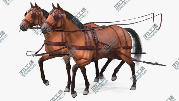 images/goods_img/20210312/Pair of Breast Collar Harness Walking Pose Fur 3D model/2.jpg